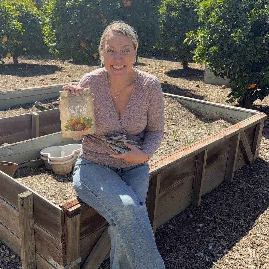 Front-yard kitchen garden, year one.