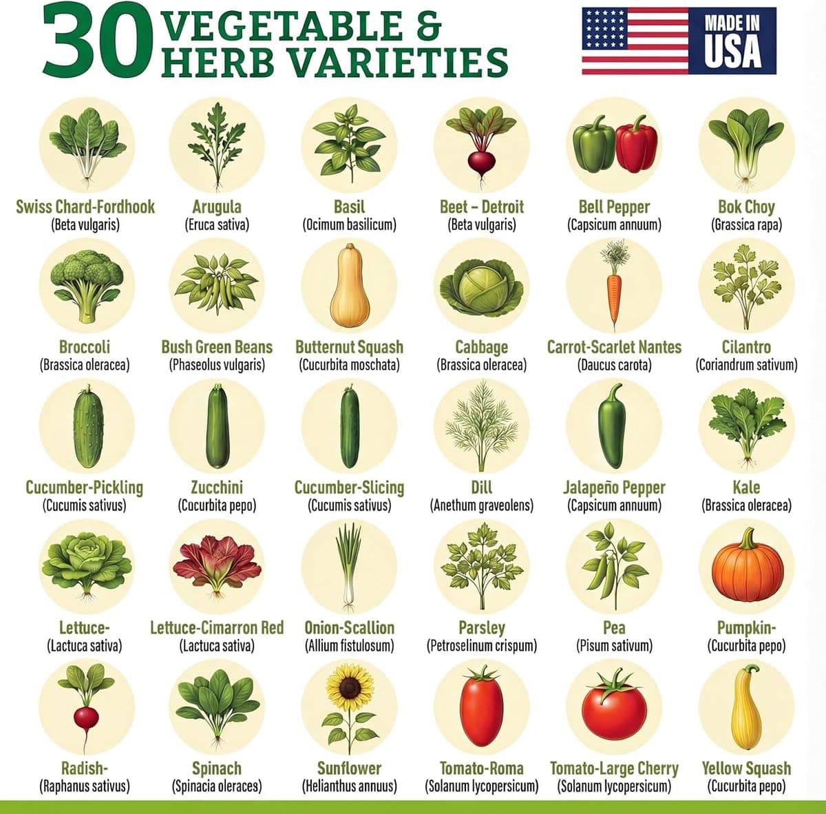 Culinary Seed Kit photo 7